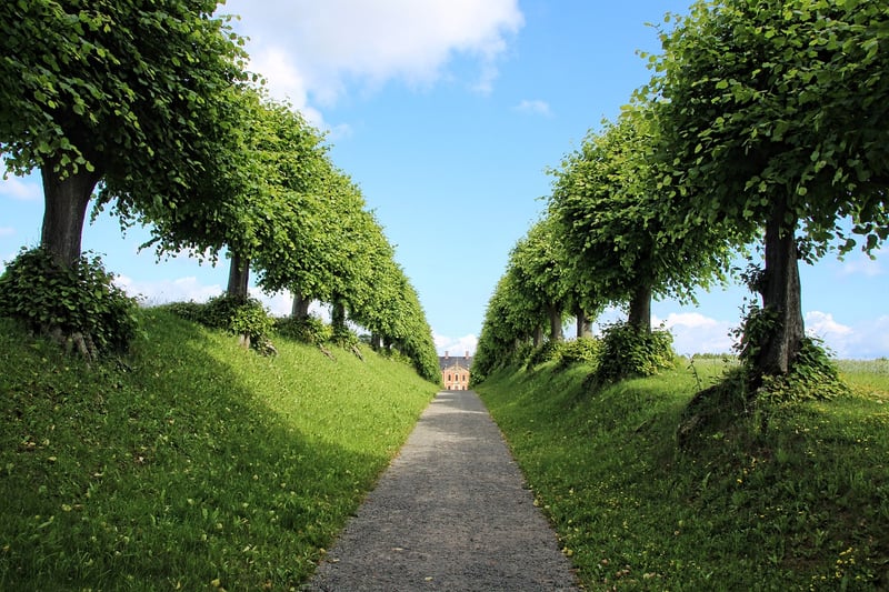 Green Architecture